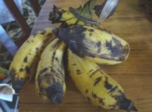 black spots on the Banana it is Rot Disease symptoms.