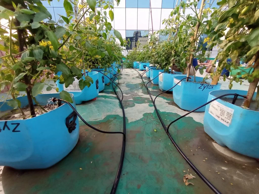 Efficient Rooftop Garden Irrigation Solutions