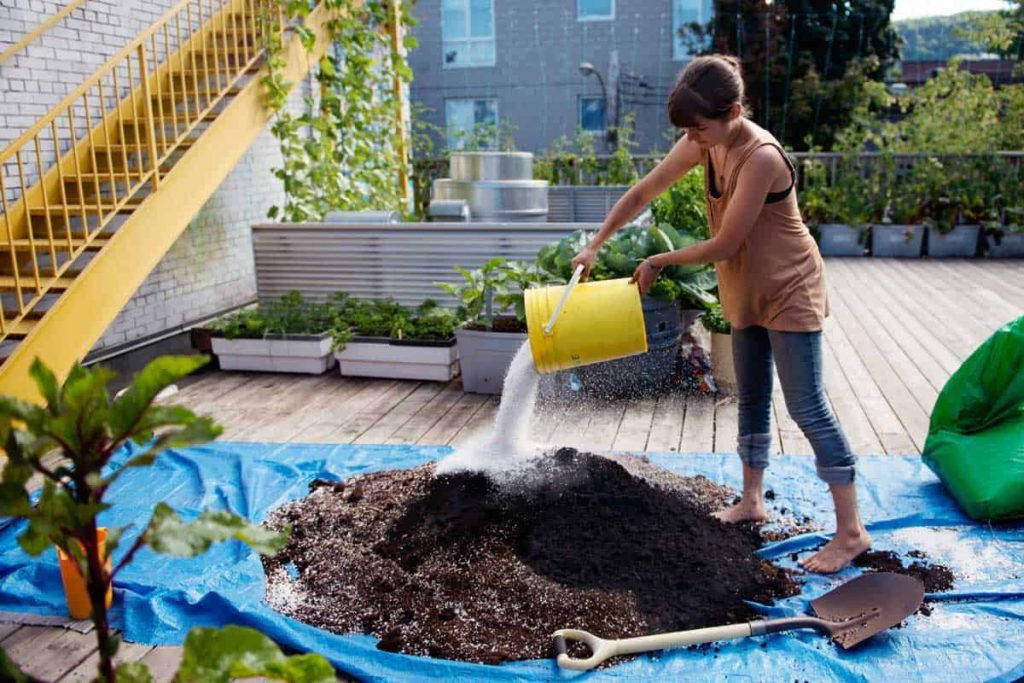 How To Prepare The Soil For The Roof Garden