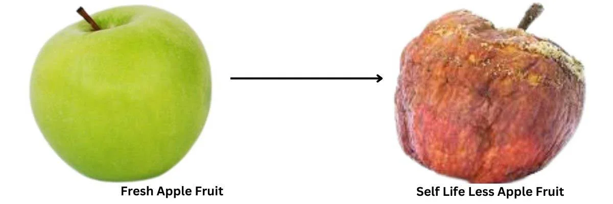 https://toagriculture.com/wp-content/uploads/2022/12/Self-Life-of-Fruit.jpg.webp