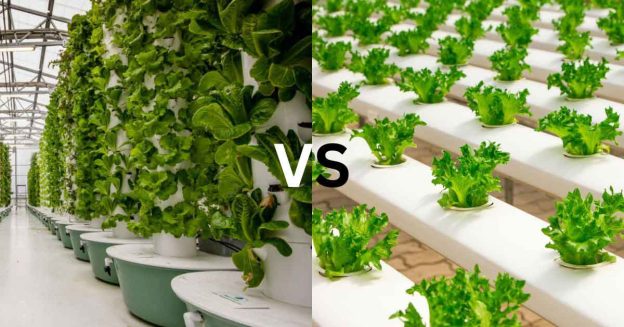Comparison of Aeroponics vs Hydroponics gardening.