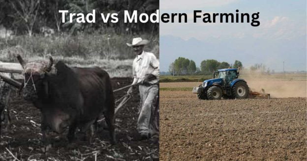 two images showcasing the difference between traditional and modern farming methods.