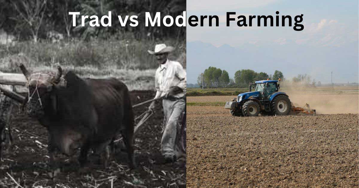What is The Difference between Traditional and Modern Farming?