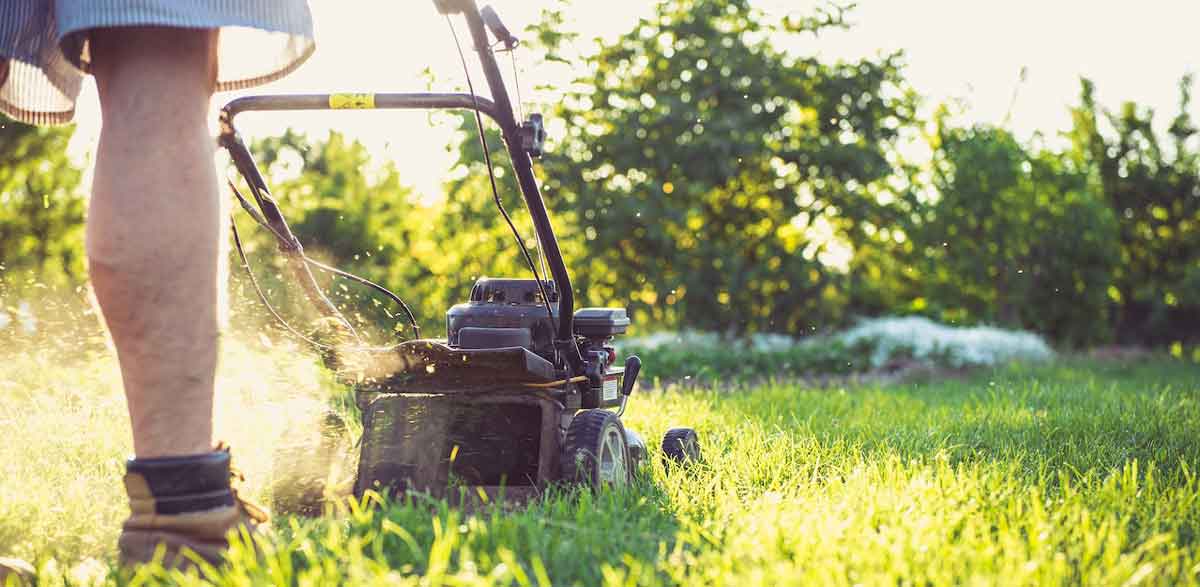 A man is using preventive weed control mowing methods on his land.