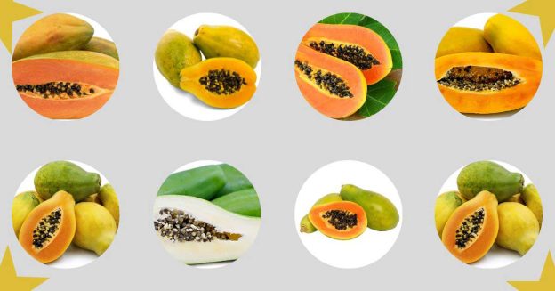 image of different type papaya verities.