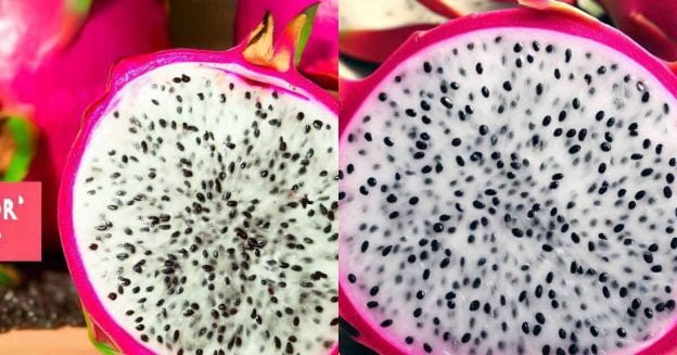 Two half-dragon fruit, with text in different colors explaining how to tell if the fruit is bad.