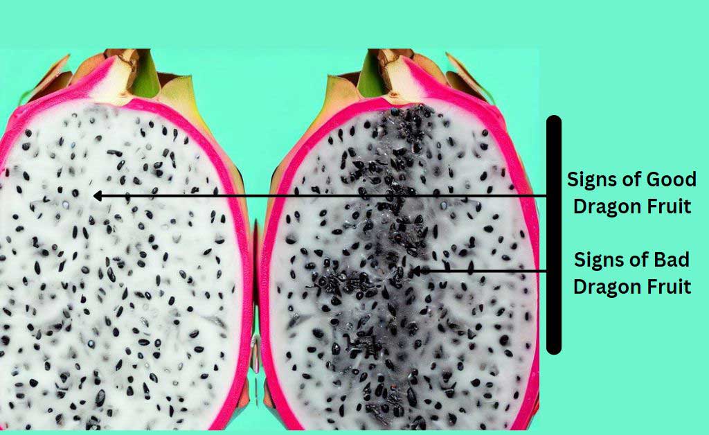 Two half-dragon fruit, with text in different colors explaining how to tell if the fruit is bad and good.