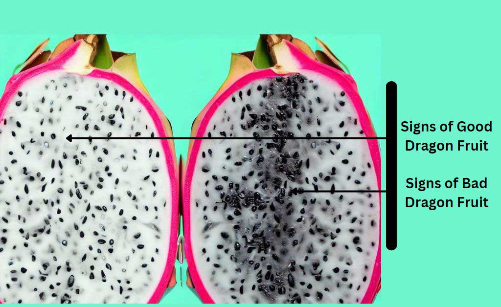 What Is Dragon Fruit? Benefits, Flavor, And How To Eat It