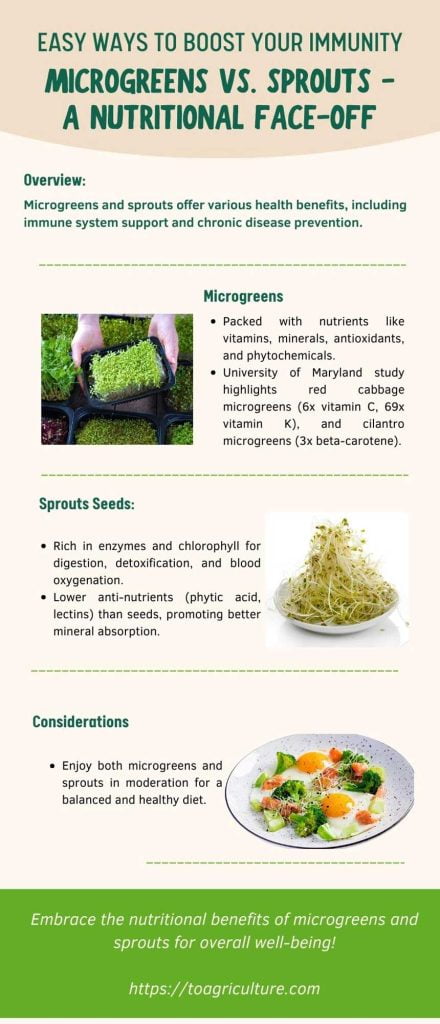 An infographic of Baby Greens vs. Sprouts - A Nutritional Face-off
