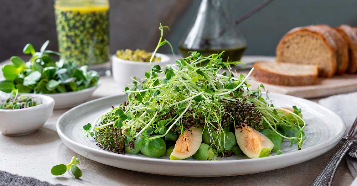 A plate laden with fresh broccoli microgreens, alongside a balanced meal.