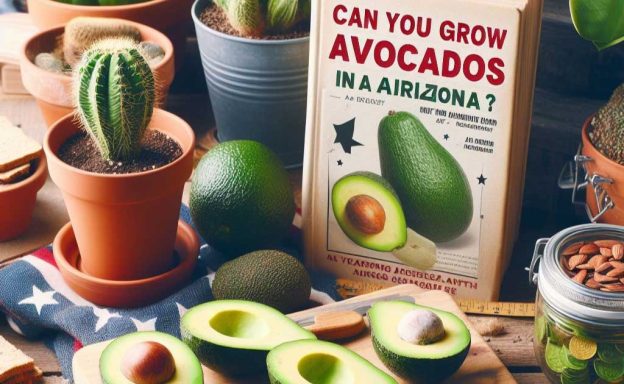 A book about growing avocados in Arizona surrounded by avocados and an American flag-themed cloth on a wooden table.