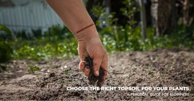 A person in a field correctly chooses the right topsoil.