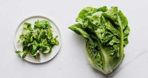 A fresh, green romaine lettuce plate. Next to it, there are leafy greens on it.