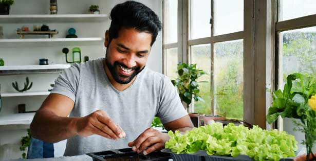 A man sowing lettuce seeds on moist soil in containers indoors.