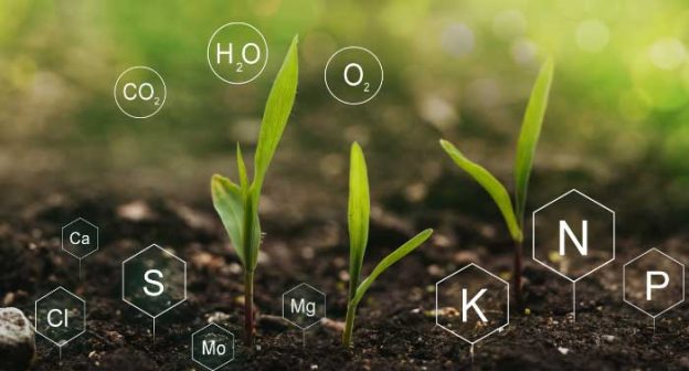 Young plants emerging from nutrient-rich soil, surrounded by chemical symbols representing essential elements for growth.