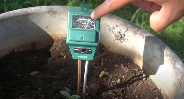 A hand is using a green soil pH meter to measure the acidity or alkalinity of the soil in a white, round planter.